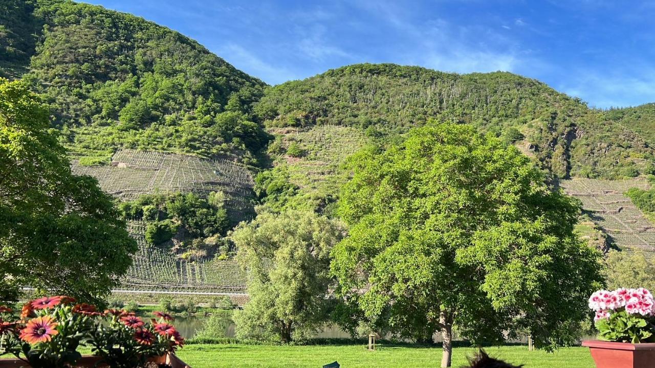 Hotel Zur Winzergenossenschaft Ernst Εξωτερικό φωτογραφία